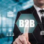 Strategies for B2B Niche Marketing